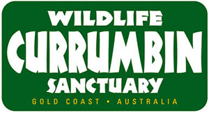 currumbin wildlife sanctuary ticket